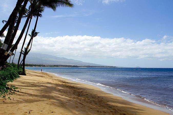 Kealia Resort 502 Kihei Esterno foto
